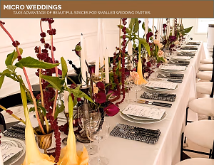 Micro Wedding Overview