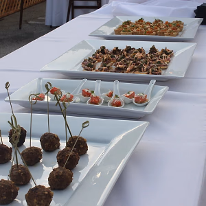 Santa Monica Company Anniversary Party Tray Passed Bites Ready to Go