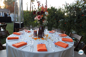 Reception Table in Backyard