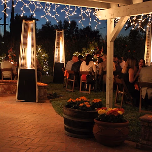 Backyard Wedding Evening Reception