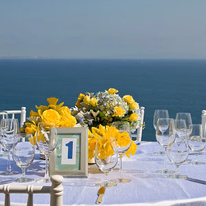 Beautiful ocean view @ backyard wedding in Malibu