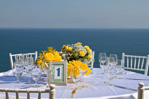 Beautiful ocean view @ backyard wedding in Malibu