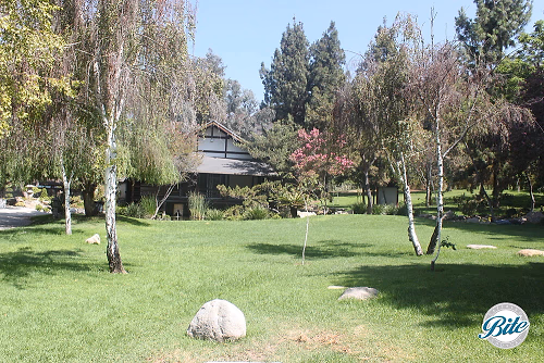 Brand Park Library Japanese Tea House Front
