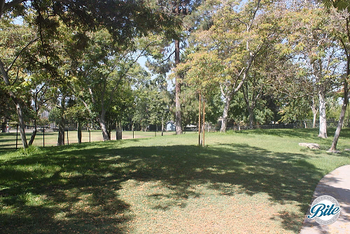Brand Park Library Japanese Tea House Front Lawn