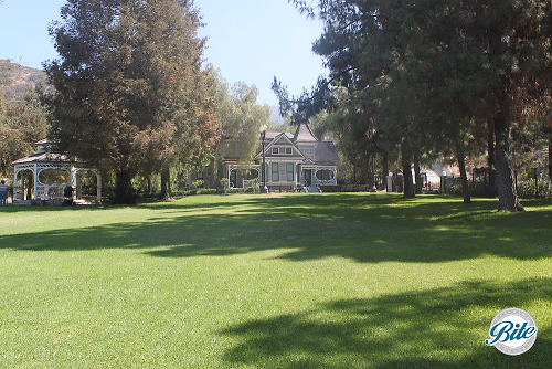 Brand Park Library Doctor's House Lawn