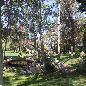 Brand Park Library Japanese Tea House Back