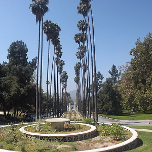 Brand Park Library Driveway