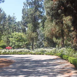Brand Park Library Doctor's House Driveway
