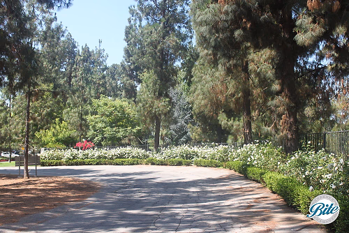 Brand Park Library Doctor's House Driveway