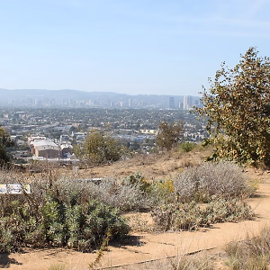 Native Plant Garden @ Baldwin Hills Scenic Overlook