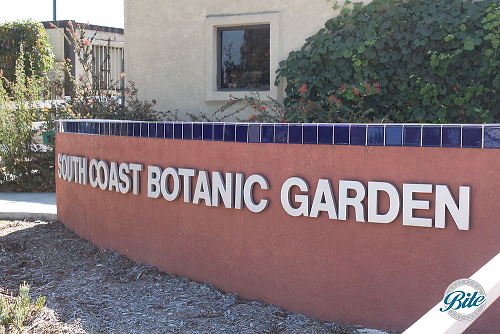 SCBG Entry Sign