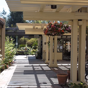 South Coast Botanic Garden Visitor Patio