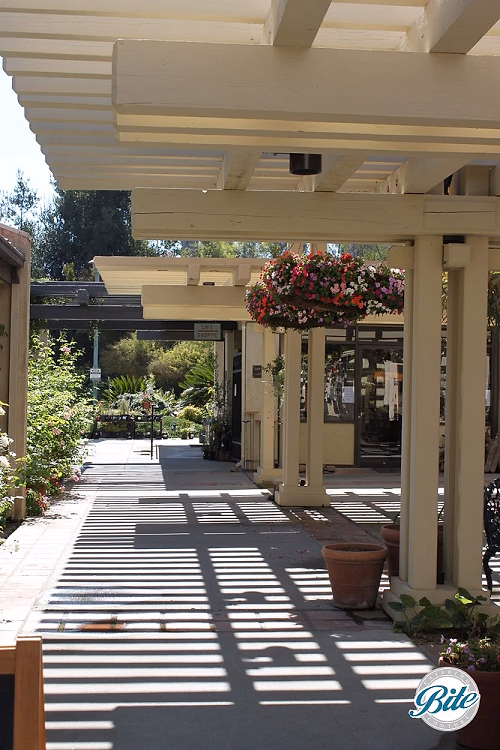 South Coast Botanic Garden Visitor Patio