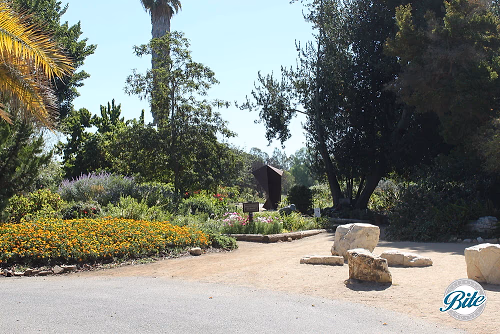 South Coast Botanic Garden Garden Entrance