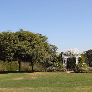 South Coast Botanic Garden Upper Meadow