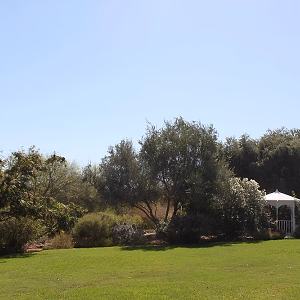 South Coast Botanic Garden Lower Meadow