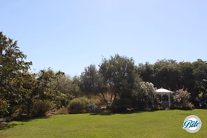 South Coast Botanic Garden Lower Meadow