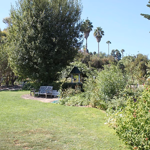 South Coast Botanic Garden Lower Meadow Bench