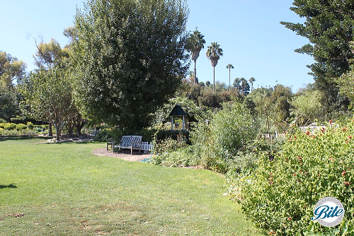 South Coast Botanic Garden Lower Meadow Bench