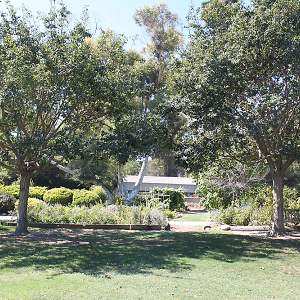 South Coast Botanic Garden Lower Meadow Walkway