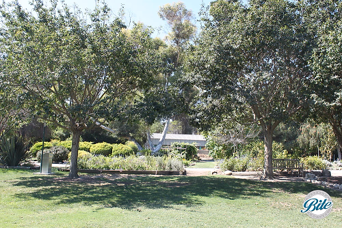 South Coast Botanic Garden Lower Meadow Walkway