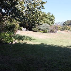 South Coast Botanic Garden Amphitheater Lawn