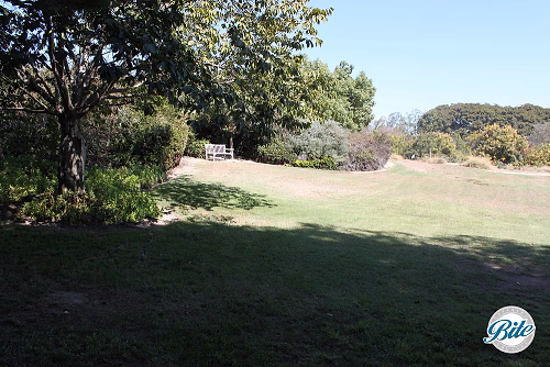 South Coast Botanic Garden Amphitheater Lawn