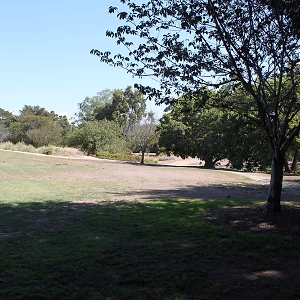 South Coast Botanic Garden Amphitheater Lawn 2