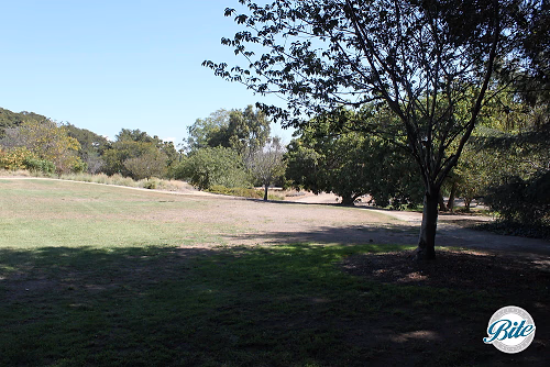 South Coast Botanic Garden Amphitheater Lawn 2