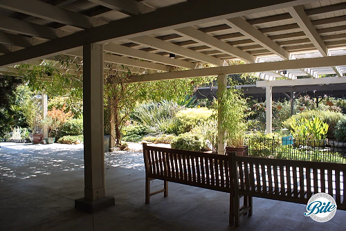 SCBG Koi Pond Patio 2