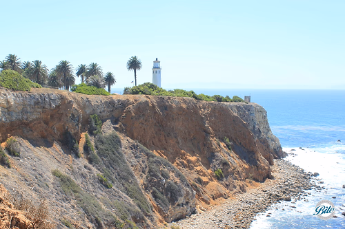 Ocean and Lighthouse View