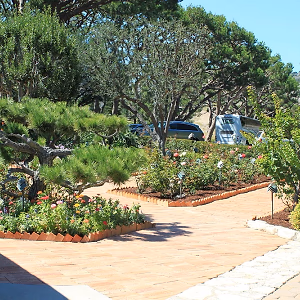 Wayfarer's Chapel Garden 