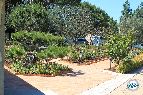 Wayfarer's Chapel Garden 