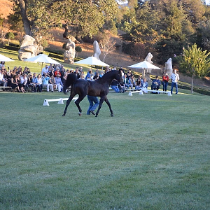 RideOn Fundraiser Show 6