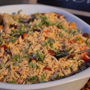 RideOn Fundraiser Orzo