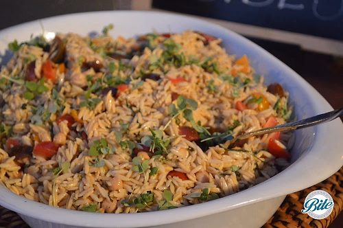 RideOn Fundraiser Orzo