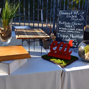 Malibu Hills Backyard Slider Station