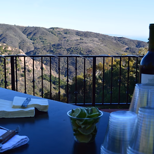 View of the Malibu Hills from Backyard