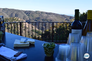 View of the Malibu Hills from Backyard