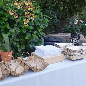 Malibu Hills Backyard Bar Disposables Display