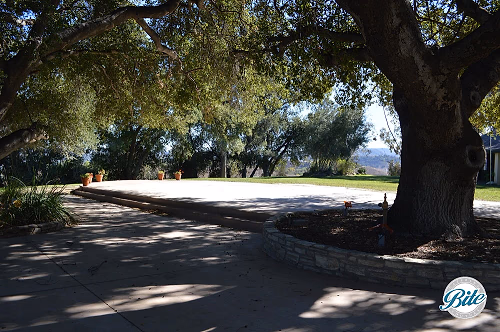 Upper Las Virgenes Dance FLoor