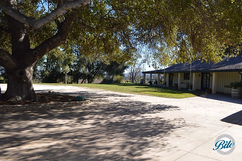 Upper Las Virgenes Front Yard