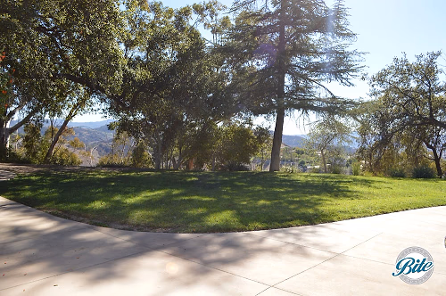 Upper Las Virgenes Backyard