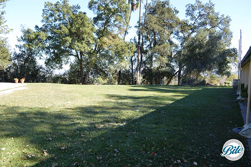 Upper Las Virgenes Front Yard 1