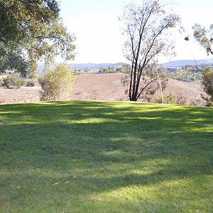 Upper Las Virgenes Front Yard View