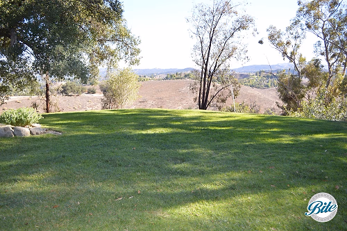 Upper Las Virgenes Front Yard View
