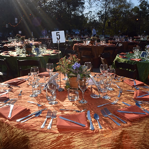 Outdoor Table Setting