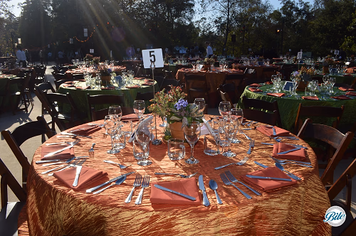 Outdoor Table Setting