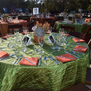 Outdoor tables for fundraising dinner