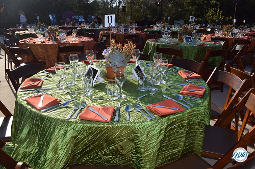 Outdoor tables for fundraising dinner
